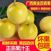 黃金百香果現(xiàn)摘現(xiàn)發(fā)新鮮5斤大果當(dāng)季果熱情果一件代發(fā)工廠批發(fā)